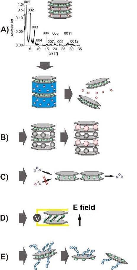 Intercalation